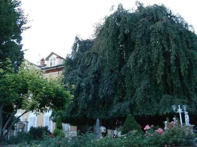 Park Hotel Villa Salzea Trofarello Exterior foto